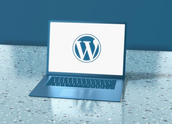 Découvrez le coaching wordpress pour propulser votre site