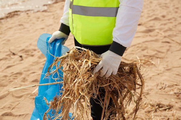 Débarras à paris : votre solution écologique et rapide !